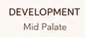 DEVELOPMENT Mid Palate